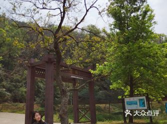打卡江门新会区石涧公园 好几年前来过这里还没现在这么