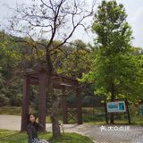 打卡江门新会区石涧公园 好几年前来过这里还没现在这么