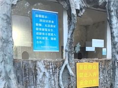 -麻城大别山桐枧冲瀑布群风景区
