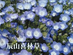 -上海辰山植物园