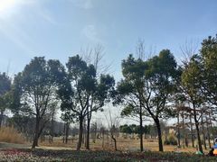 -广富林郊野公园
