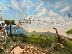 -辽宁古生物博物馆