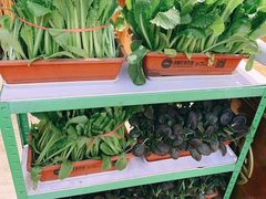 有机菜-额尔敦传统涮(公园西路店)