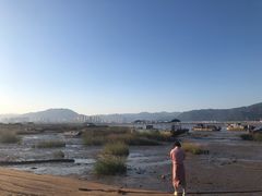 -北岐滩涂