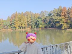 -东湖落雁景区