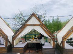 -金鱼妈妈 山野·食趣(荫山街店)