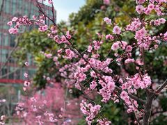 -上海港国际客运中心1号游艇码头