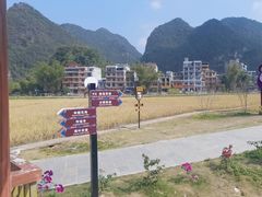 -靖西鹅泉风景区