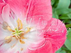 -大宁公园