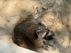 -青藏高原野生动物园