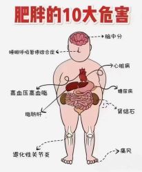 -香薇妮丝女子减肥院