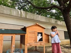 -蒙蒙狮蒙台梭利儿童之家