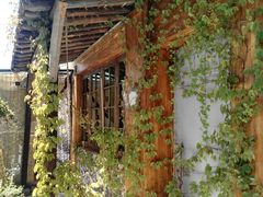 -馬蘭花開(车站大道店)