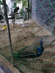 -颐和尚景酒店·宴会厅(园林生态酒店)