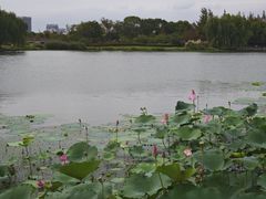 -澹台湖公园