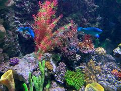 -海合安青岛极地海洋公园
