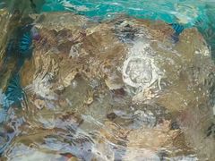 -马王堆海鲜水产市场