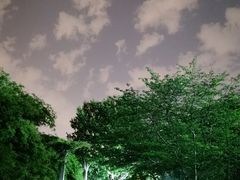-玉山公园