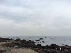 -西涌国际滨海旅游区