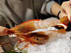 -極上萬膳·日料放题(海岸城店)