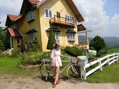 -黄色小屋