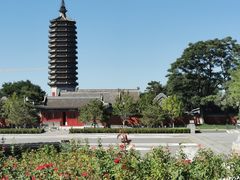 -西海子公园