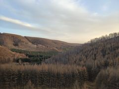 -塞罕坝国家级自然保护区