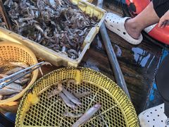 -大京沙滩