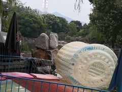 -济南植物园