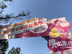 -太阳宫公园