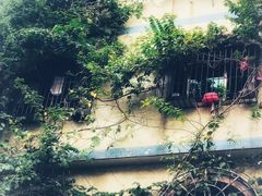 -海口骑楼小吃街