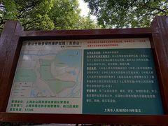 -上海佘山国家森林公园东门地面停车场