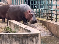 -哈尔滨北方森林动物园