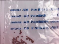 -申普宠物医院·心脏介入·心血管微创(总院)