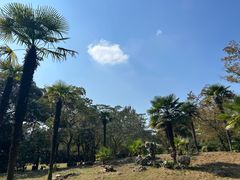-杭州植物园
