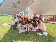 -春花秋色城市公园