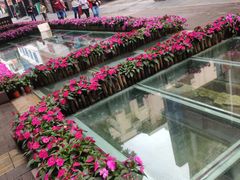 -北京路步行街-千年古道遗址