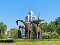 -莲花池公园