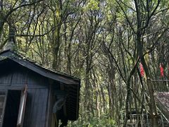 -富春桃源风景区
