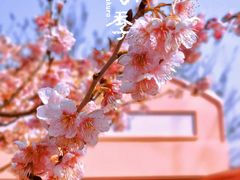 -上海辰山植物园