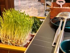 -二刀潮牛(重庆光环购物公园店)