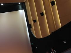 -大光明新国际影城(青浦吾悦店)