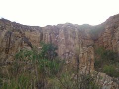 -元谋土林景区(物茂土林)