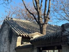 -王家大院