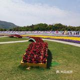 环境不错，花很多，很漂亮