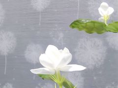 -野人先生现做冰淇淋(北京环宇荟店)