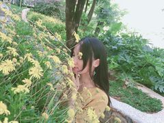 -南诏风情岛