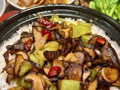 -蘑界·野生菌火锅(深业上城店)