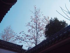 -长春观