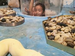 -灵玲国际马戏城